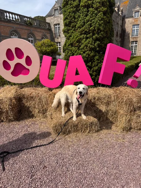 C’était un super festival, très bien organisé ! 
Albi a passé une superbe matinée !