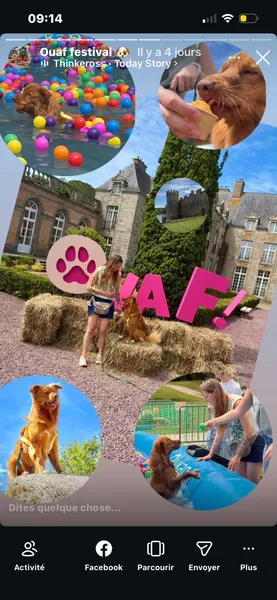 Super ! Vivement l’année prochaine ;)
🐾🐾🐾